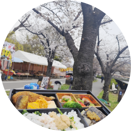 4月に豪華お花見弁当